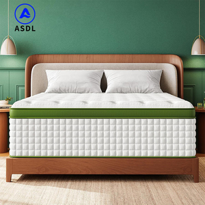 Sang Trọng Và Thoải Mái Khách Sạn Năm Sao Nệm Cao Su Thiên Nhiên Giấc Ngủ Tốt Bộ Nhớ Bọt Túi Mùa Xuân Nệm - Product Image 1