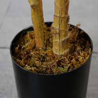 Arbre en pot artificiel, 60x140cm, fausses plantes d'intérieur, pour décorer la maison