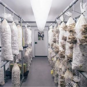 버섯 성장 가방 5 0 Um 마이크론 엑스트라 와이드 필터 3 0 밀 두꺼운 플라스틱 - Product Image 1