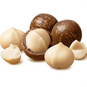 Vietnam Factory ISO Standard Competitive Price <b>Macadamia</b> With/Without Shell in Bulk - Product Image 1