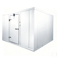 Chambre froide commerciale modulaire à structure conteneurisée avec système de dégivrage automatique et thermostat numérique