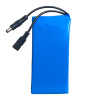 Batterie au lithium personnalisée DTP Solid State 18650 12V 12Ah Soft Pack, grande capacité avec sortie CC, module d'alimentation 500 cycles