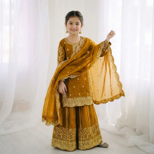 Robe Anarkali Traditionnelle Brodée Dorée pour Filles, Style Indien et Pakistanais, Coupe Classique, Longueur Cheville, en Soie, Idéale pour Mariages - Product Image 1