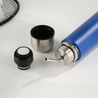 Bouteille d'eau isotherme en acier inoxydable de 750 ml pour Yerba Maté avec infuseur à thé amovible – Idéale pour le thé en vrac