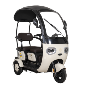 FGQ 2026 Tricycle Électrique à Carrosserie Ouverte avec Visage de Panda Mignon, 800W, 25km/h, Capacité 200kg, pour <span class=keywords><strong>Transport</strong></span> Familial et Adultes - Product Image 3