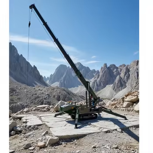 Şantiye binası çalışması için 8t 10TON paletli paletli örümcek vinçleri - Product Image 6