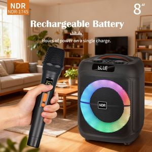 NDR-1745 音箱 2 个旋钮 20W 8 英寸 80Hz 低音圆形 RGB 灯 卡拉 OK 音箱 2 个麦克风 远程电脑 手机 - Product Image 6