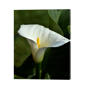 Tùy Chỉnh Thiết Kế Đẹp Red Flower Rose Tranh Ảnh Canvas In Ấn Cho Treo Tường - Product Image 2