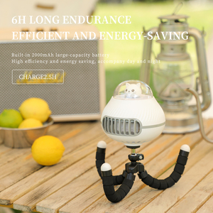 Chất Lượng Cao Có Thu Phí Fan Có Thể Sạc Lại Mini Điện USB Clip Bé Mini Xách Tay Fan Cho Xe Đẩy Em - Product Image 5