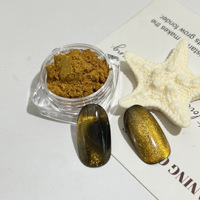 COLORMARK Bubuk Glitter Magnetik Mewah Penyerapan Lambat Bebas Perekat untuk Seni Kuku Efek Cat-Eye Aurora Fluoresen