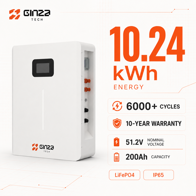 Solar System Home Backup Battery 10kWh 51.2V 200Ah LiFePO4 Battery Pack with BMS IP65 for Wall Mounted Home Energy Storage
