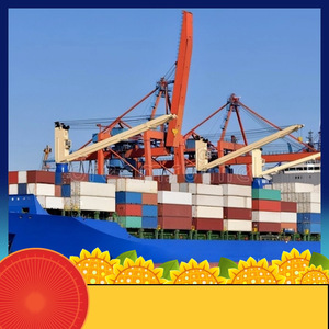 Transporte de Carga Marítima Ruixiang Línea África a Sudáfrica, Uganda, Guinea, Namibia, Despacho de Aduanas, Logística y Comercio - Product Image 3