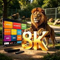 Boîte IPTV personnalisée, solution de boîte TV intelligente, service de streaming HD