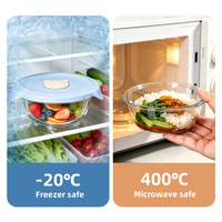 Bol en silicone borosilicate de qualité alimentaire avec couvercle en silicone anti-fuite, compatible micro-ondes et congélateur, couleur Pantone personnalisée, récipient de rangement
