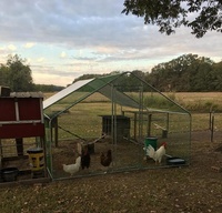 Enclos à poulets en acier galvanisé pour l'extérieur avec enclos de jeu, vente en gros