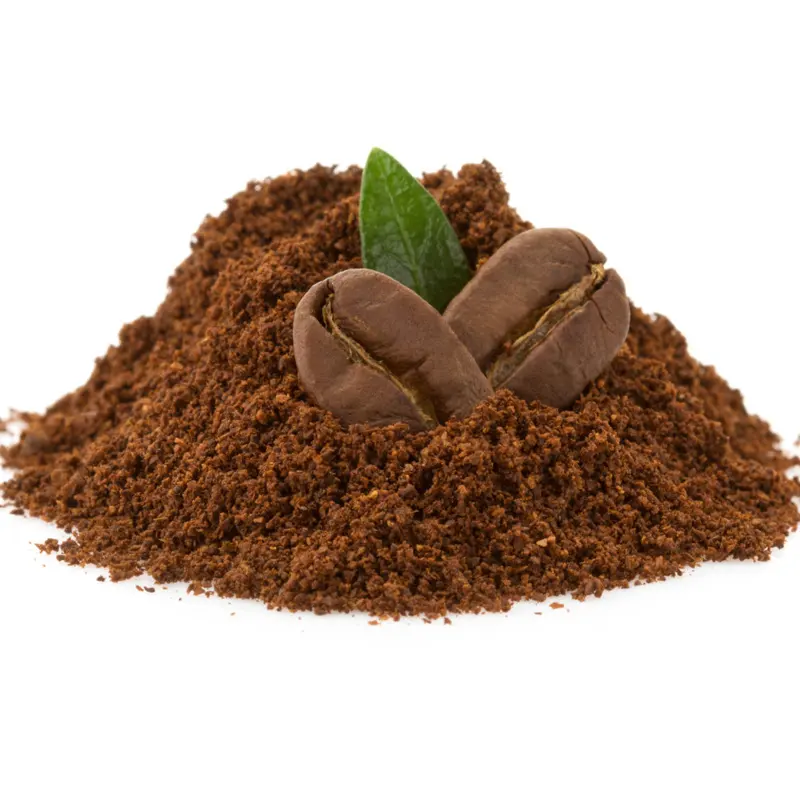 Poudre de cacao instantanée perte de poids chocolat en poudre pour boisson