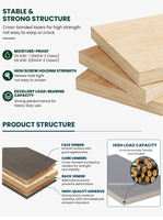 Contreplaqué 4x8 18mm à âme en eucalyptus, colle phénolique WBP, certifié FSC ENF CARB P2, coupe nette, prix de gros pour présentoirs de magasin de détail
