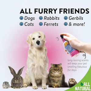 ペットフィット エコフレンドリー プラスチック製 天然ペット用香水 デオドラントスプレー 犬用-グルーミングサロン用 フレッシュフレグランス - Product Image 6