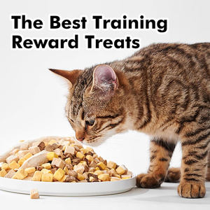 อาหารแมวอบแห้งตับไก่เป็ดอาหารแมวสำหรับแมวพร้อมฟังก์ชันทันตกรรมฟรีขนมขบเคี้ยว - Product Image 4