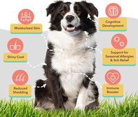 Nourriture pour animaux de compagnie OEM, nourriture pour chats et chiens, soutien du système immunitaire, soutien des articulations, vitamines A et E, multivitamines, comprimés à mâcher souples pour animaux