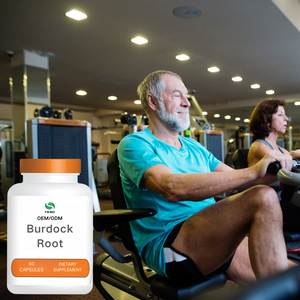 Cápsulas de Raiz de Bardana (Niu Bang Gen) de Ervas Tradicionais Chinesas |   Certificado GMP - Product Image 3