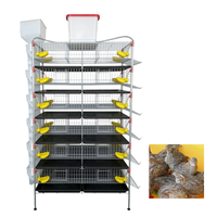 Poulailler de type H de grande capacité en acier galvanisé pour cailles pondeuses avec système de ramassage automatique du fumier et structure en grillage durable