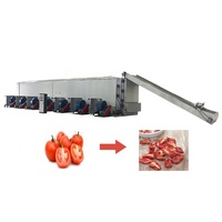 Meilleures ventes Sécheuse pour épices de maïs Sécheuse à bande maillée Machine à sécher les aliments Cardamome/tomate/dattes rouges Sécheuse à aliments automatique