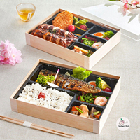 Boîtes à lunch en bois recyclables DIY, motif éléphant et oiseau, rectangulaires, isothermes, portables, personnalisables, pliables, type bento