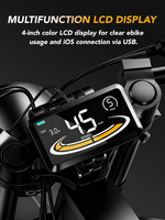 Bicicleta eléctrica con motor de 48V y 500W con pantalla LCD, neumáticos de 20 "para motocicletas todoterreno de playa y nieve