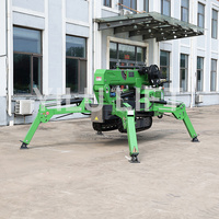 1t 2t 3t 4t 5t 6t 7t 8t moteur diesel à essence mini grue araignée en vente