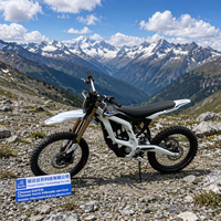 Nouveau Vélo Électrique Routier Sur Ron Light Bee 2 78.5v45Ah 24000W 2026 avec Chargeur US/Rétroviseur