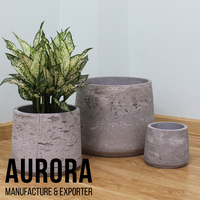 Prix de gros Vente directe d'usine Pots de fleurs et jardinières en béton et en ciment Jardinières pour plantes d'intérieur Emballage personnalisé