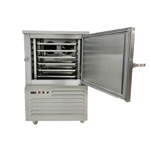Green Peas Quick Freezing Machine Liquid Nitrogen Blast Freezer Fish Blast Chiller Restaurant - Product Image 3
