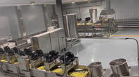 Volledig automatische elektrische verwarmingslijn voor continue productie van frieten, 1000 kg/uur, met mixer en friteuse, roestvrij staal, fabrieks prijs