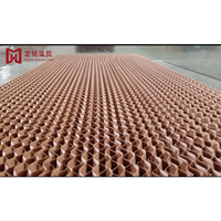 Nouveau coussin de refroidissement par évaporation (pâte de bois) directement de l'usine - Système de refroidissement pour élevages avicoles à haute efficacité de refroidissement, acceptant la personnalisation