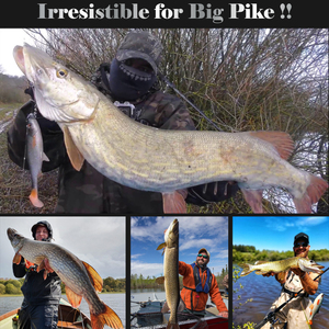 <span class=keywords><strong>Leurre</strong></span> souple Spinpoler 3D scanné, 20cm 84g, type Slender River Roach, queue en T, avec fente pour hochet, pour la pêche <span class=keywords><strong>au</strong></span> brochet - Product Image 5