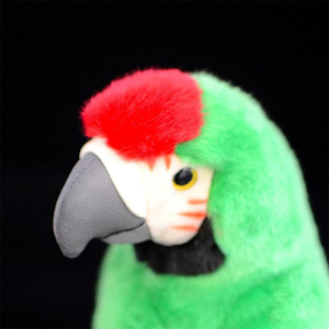 Peluche Ara Colorée Réaliste 22 Pouces, Jouet en Peluche Grand Oiseau Vert, Collection Cadeau pour Enfants - Product Image 4