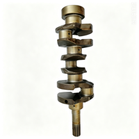 Vilebrequin en fonte pour moteur diesel Kubota D1005 1G06723013