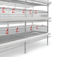 Système de cages automatiques pour poules pondeuses en acier galvanisé pour l'élevage avicole