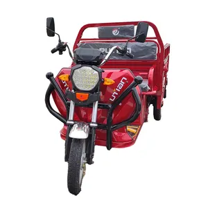 New Arrival Wheel Powered Cargo Fun Car Full Suspension Bike Front Carrier Tricycle Three Electric Trike