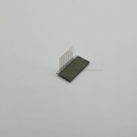 OEM ODM Monochromer TN-Bildschirm für Digitaluhren Monochromes TN-Segment-LCD-Panel mit PIN-Anschluss TN-Anzeigemodus