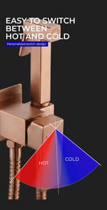 Set di Rubinetti Bidet a Muro in Ottone Spazzolato Oro Rosa OEM, Pistola Spray per WC Personalizzabile - Product Image 3