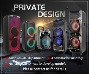 15* 2 Inch Diversified Strong Power Portable Trolley <strong>Speaker</strong> - Product Image 4