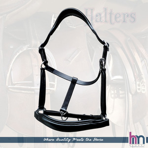 Stylish Cutback Noseband Leather <b>Halter</b> Soft Padded SS Fittings Equine Product - Product Image 1