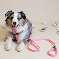Ensemble laisse et harnais pour chien en néoprène PVC réglable sans traction, nouvelle conception tendance, logo personnalisé, vente en gros