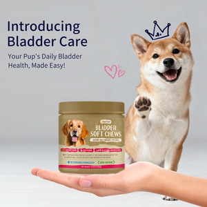 Muestra Gratuita Disponible: Masticables Suaves de Arándano Orgánico <span class=keywords><strong>para</strong></span> la Vejiga: Alimento <span class=keywords><strong>para</strong></span> el Apoyo de la Salud del Tracto Urinario <span class=keywords><strong>para</strong></span> <span class=keywords><strong>Perros</strong></span>, Masticables Saludables <span class=keywords><strong>para</strong></span> la VUC - Product Image 5