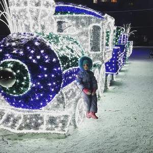 Luz LED Impermeable IP65 Personalizada con Forma de Tren Navideño 3D para Decoración de Festivales al Aire Libre - Product Image 1