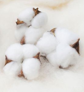 H5397 Vente en gros de sweats à capuche personnalisés à 12 couleurs, 3XL, 360 grammes, manches raglan, couleurs contrastées, sweats à capuche pour femmes et hommes - Product Image 6