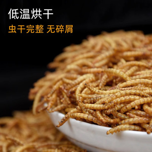 <b>Dried</b> <b>Mealworms</b> For Turtles Large Jar Multi Size Reusable Feeding Tongs - Product Image 5
