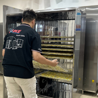 Industriële groentedroogapparatuur warmtepompdroger voor tomaten en yams